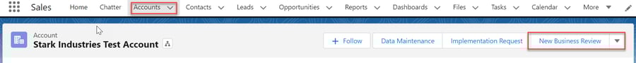 Screenshot of the Accounts Page in Salesforce with boxes around the Accounts tab and "New Business Review" button